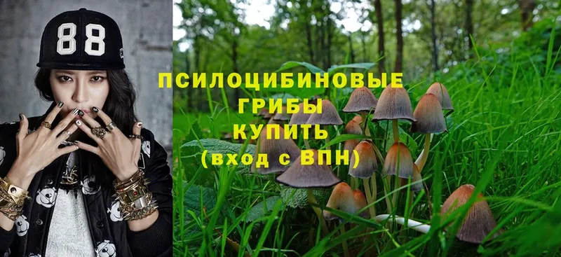 как найти наркотики  hydra как войти  Псилоцибиновые грибы MAGIC MUSHROOMS  Урюпинск 